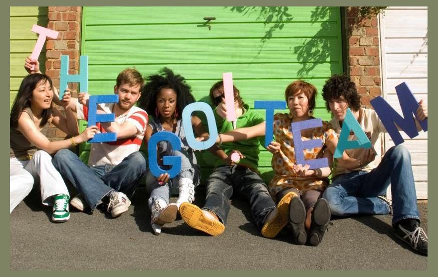 The Go! Team